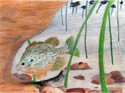 Honorable Mention, Simone Dozier, Age 16, Airport High School, Teacher: Karen Mixon